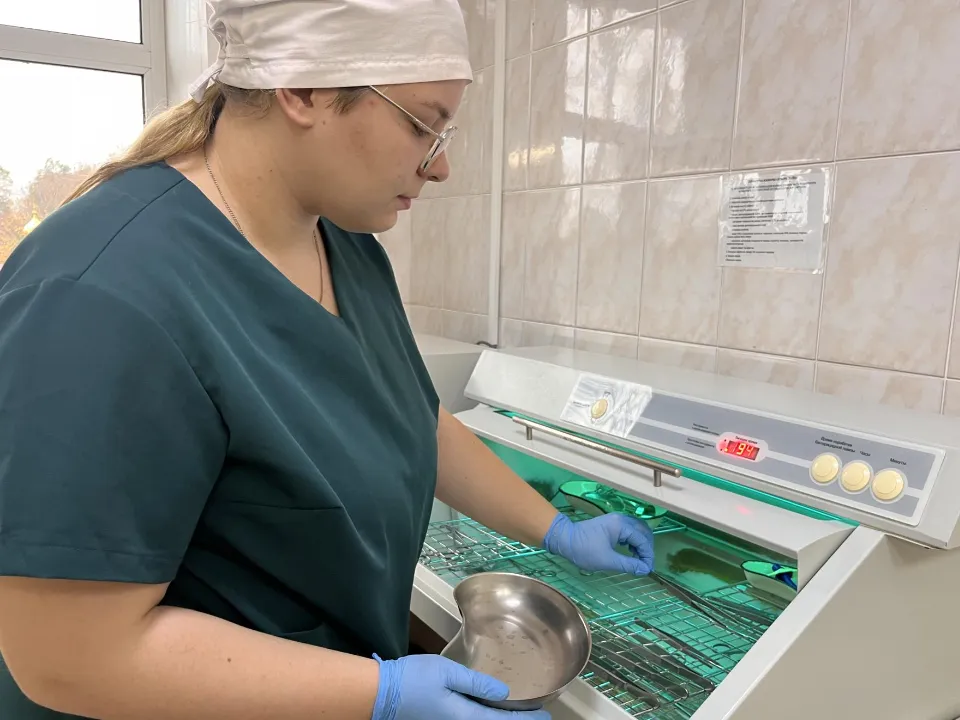 Фото: МедиаБанк Подмосковья/Ангелина Стельмух