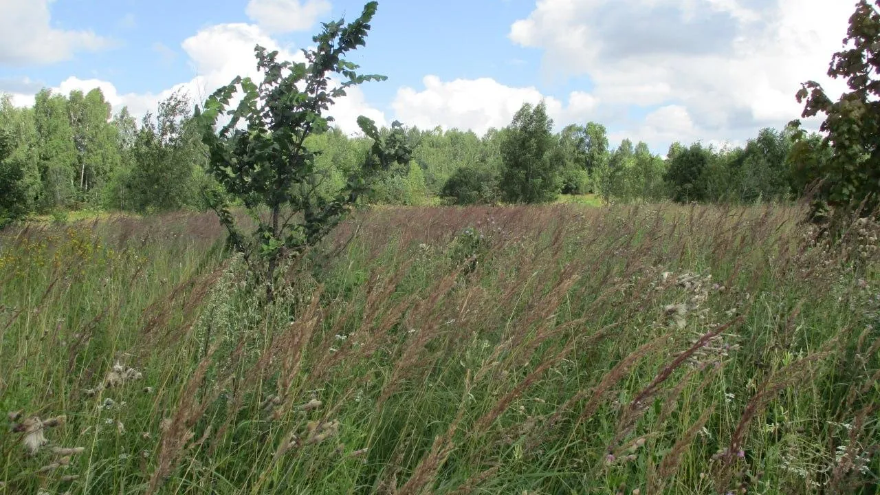 Министерство имущественных отношений Московской области
