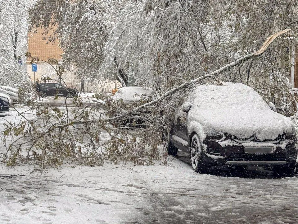 Снегопад накрыл Москву и Подмосковье: как изменится погода к майским праздникам