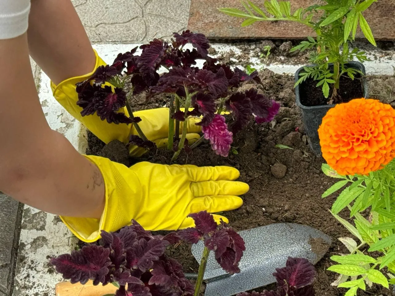 Фото: пресс-служба администрации Можайского м. о.