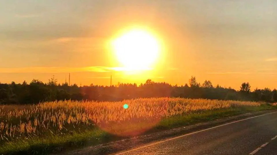 Фото: Константин Михальков