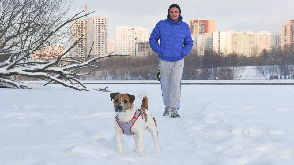 Фото: медиасток.рф