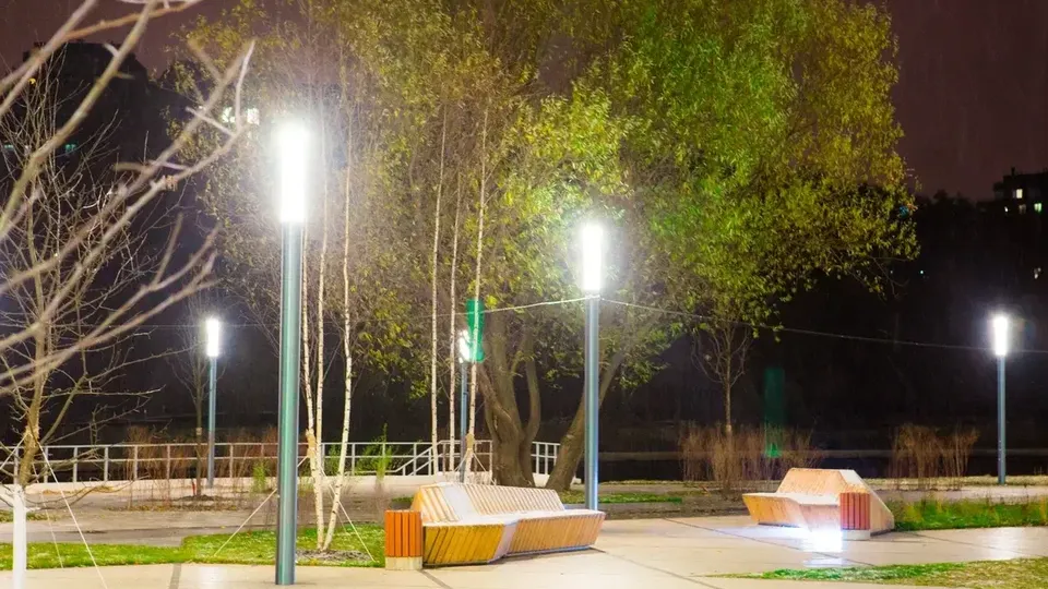 Фото: Министерство благоустройства Московской области