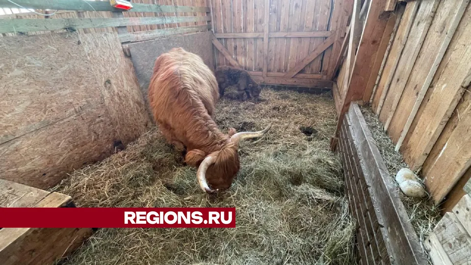 Фото: Евгений Рой