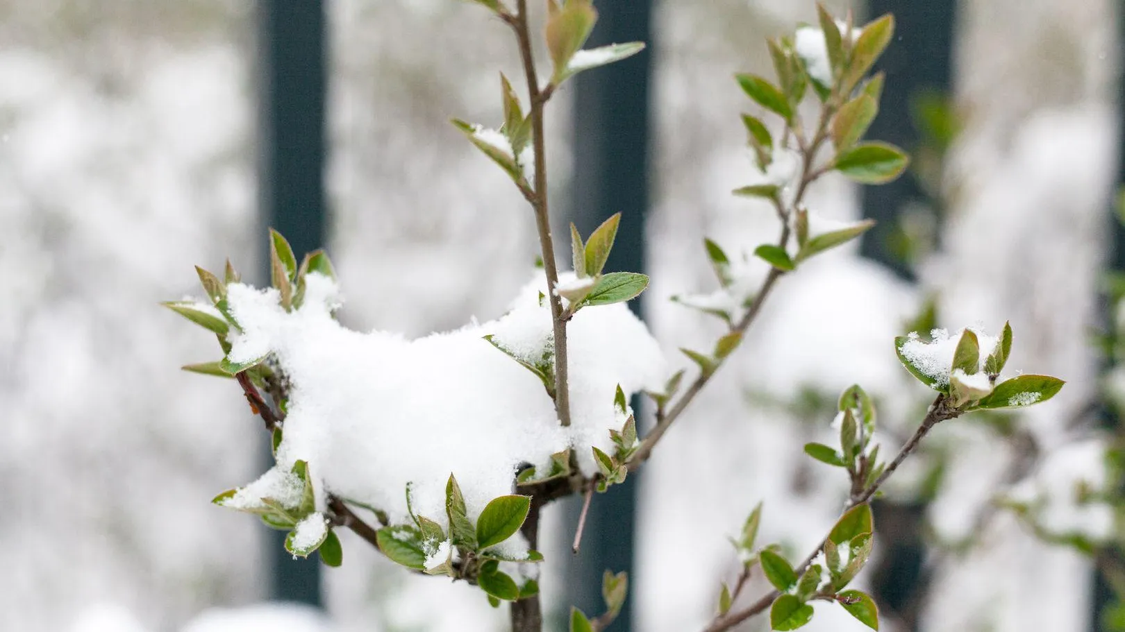 медиасток.рф