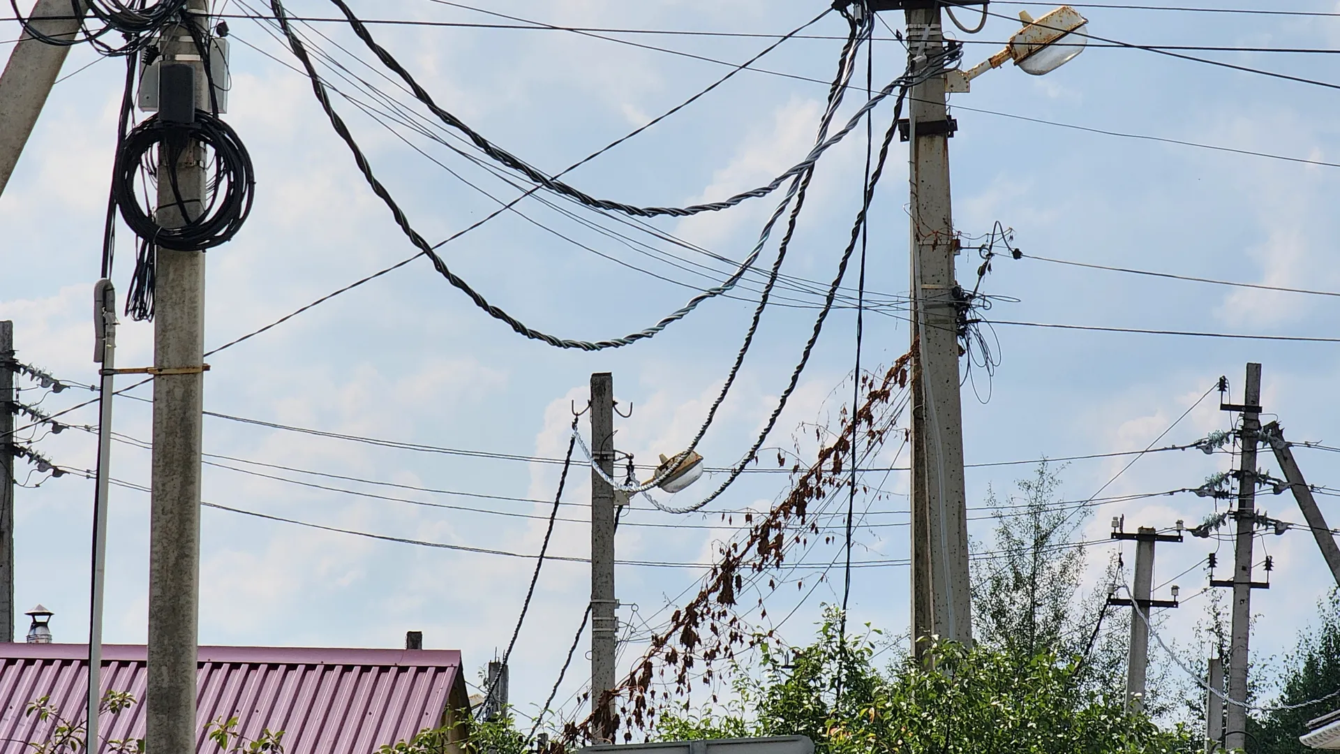 Фото: медиасток.рф