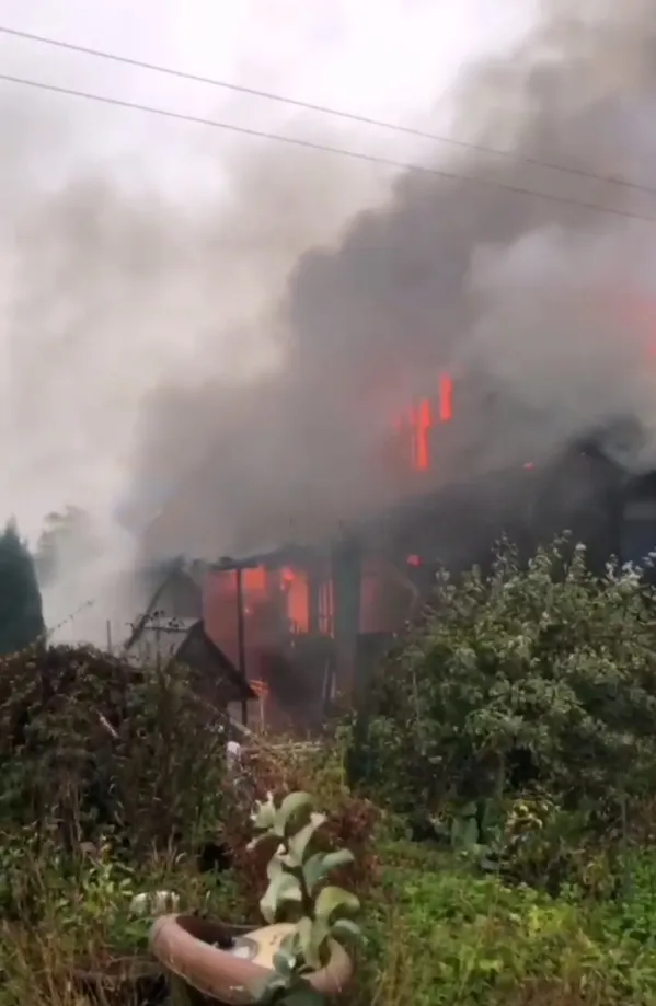 Фото: соцсети