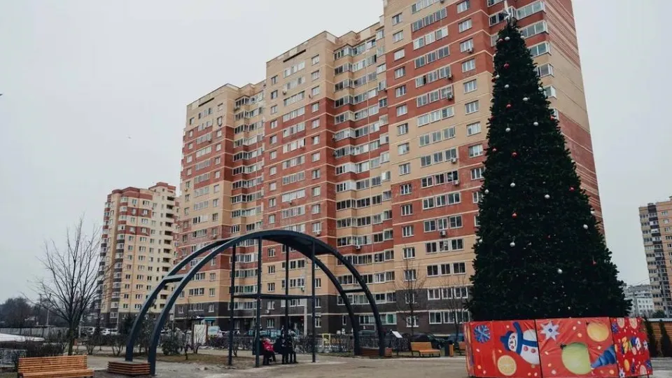 Фото: пресс-служба администрации г.о. Лосино-Петровский