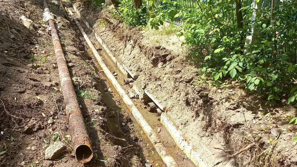 Фото: Олег Книжник