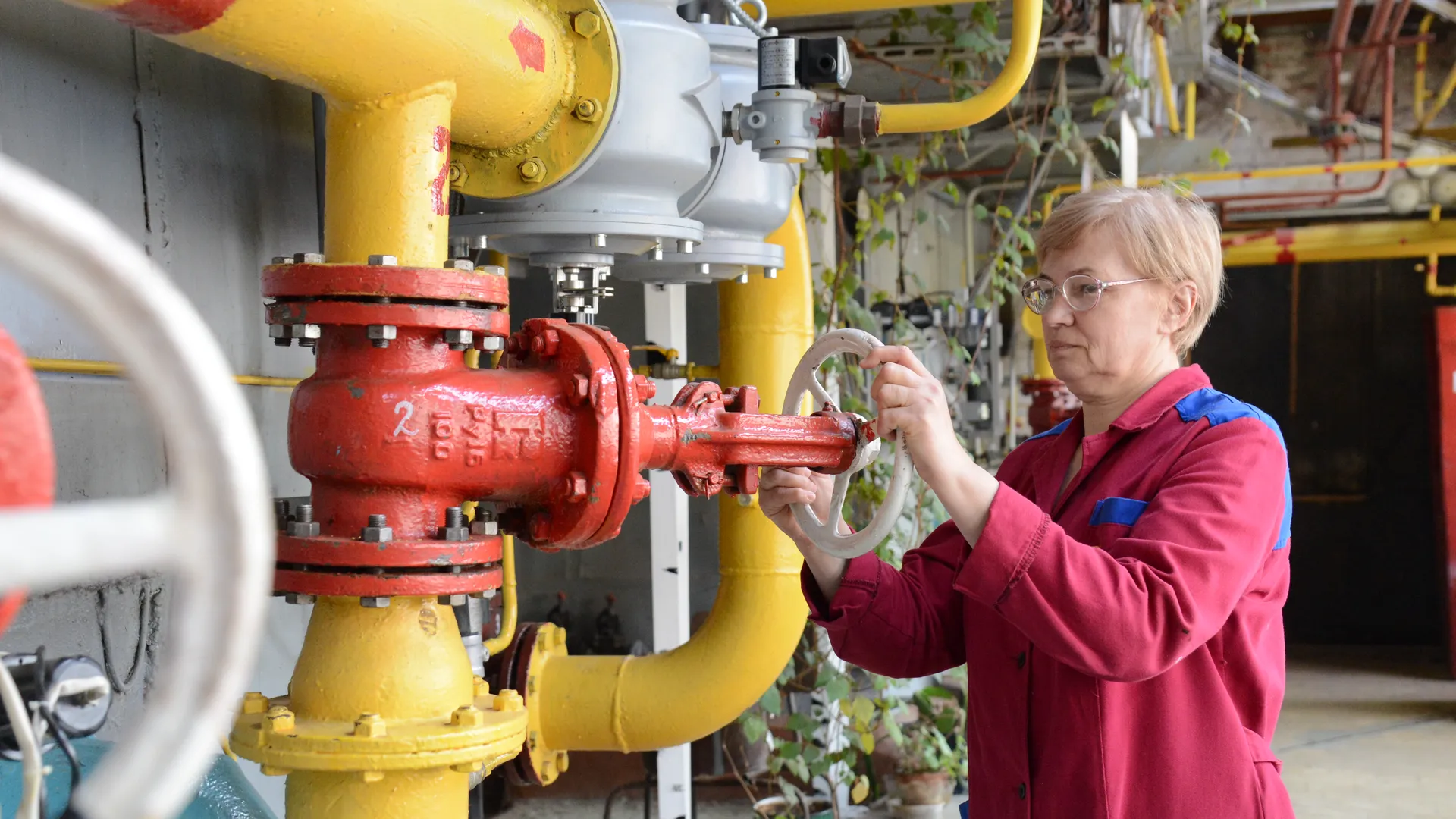 Фото: Нина Соколова