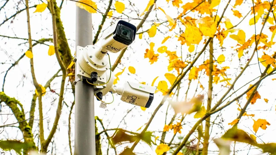 Фото: REGIONS/Александра Степанова