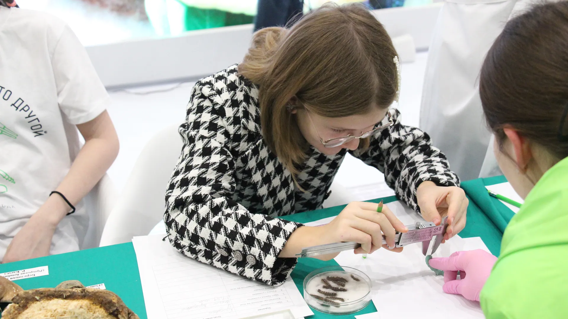 Фото: Российский центр защиты леса