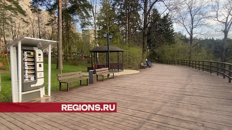 Фото: Елена Аботурова