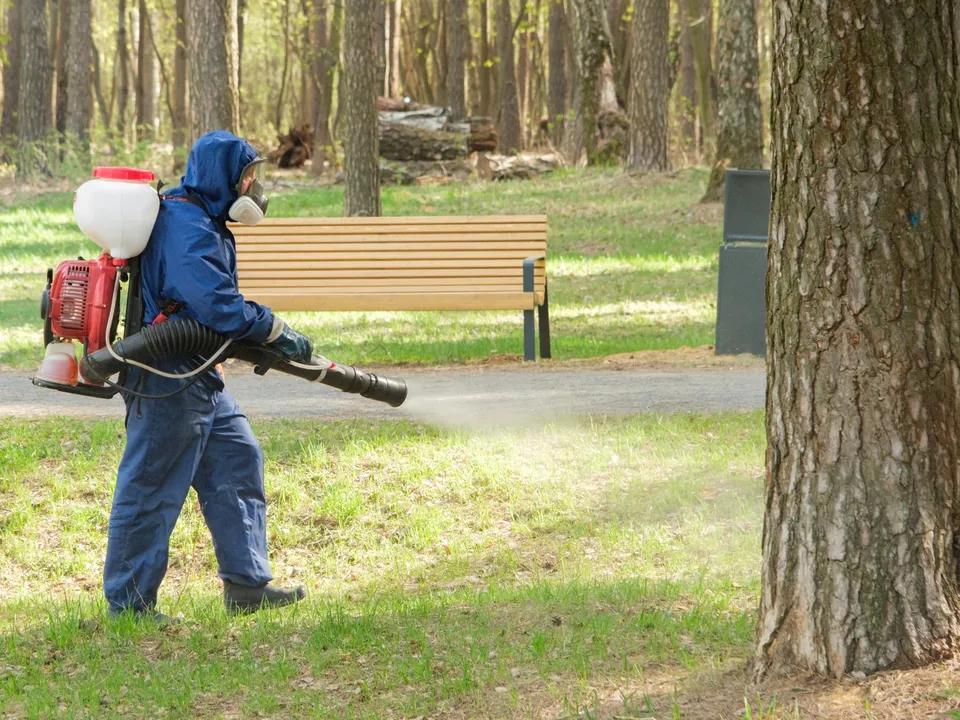 Фото: пресс-служба администрации г.о. Лыткарино&nbsp;