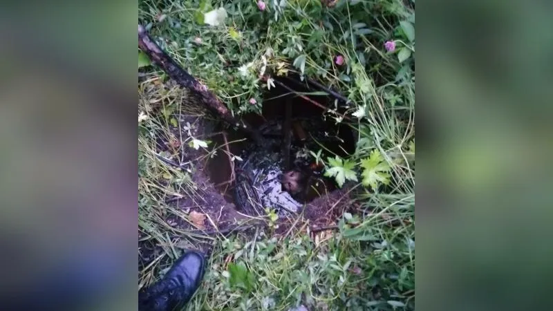 Прохожие спасли упавшую в люк дворнягу в Дмитрове