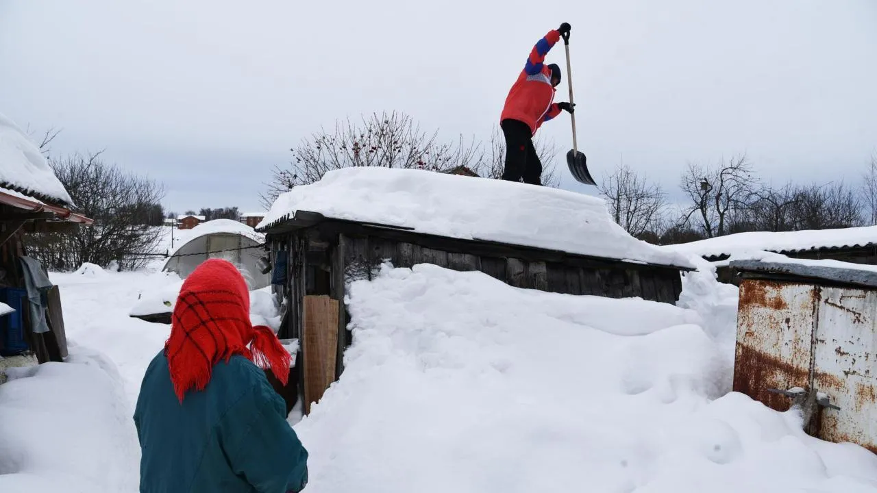 Владимир Останин