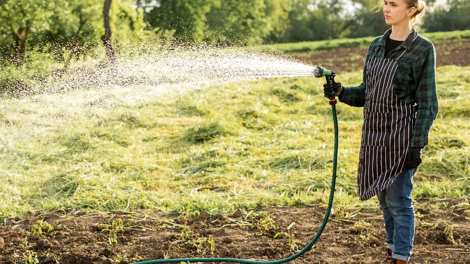 Фото: freepik.com