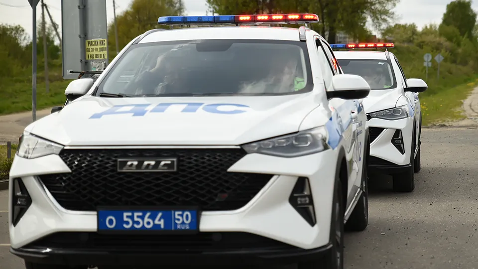 Фото: МедиаБанк Подмосковья/Ольга Антонова