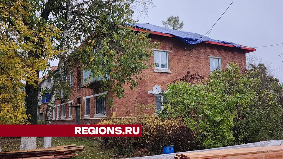 Фото: Дмитрий Беденко