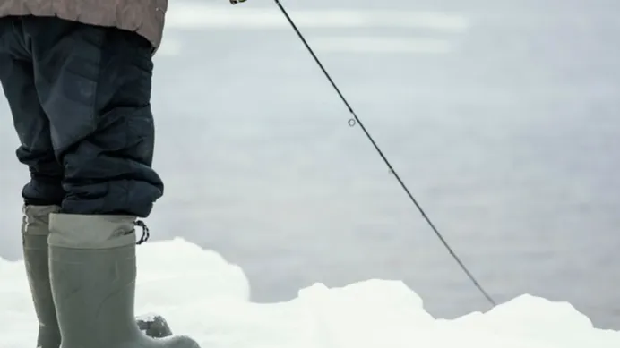 Фото:  freepik.com