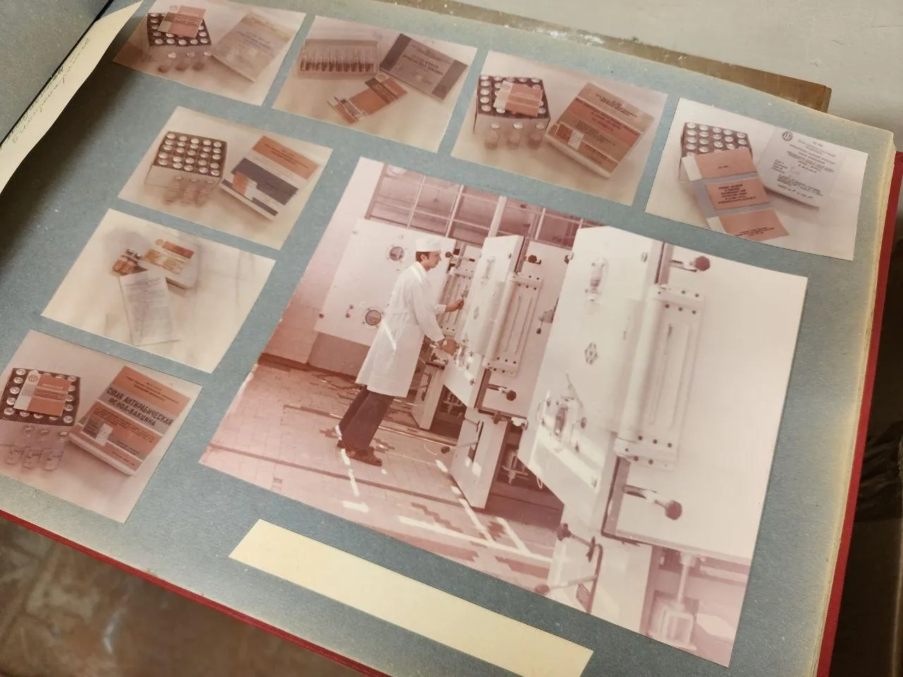 Валерия Тингаева