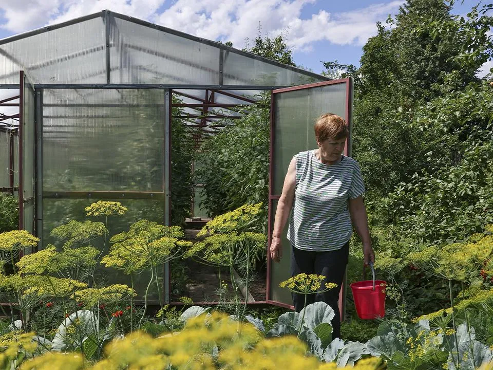 Выяснилось, как пенсионеры могут заработать с помощью своих дач