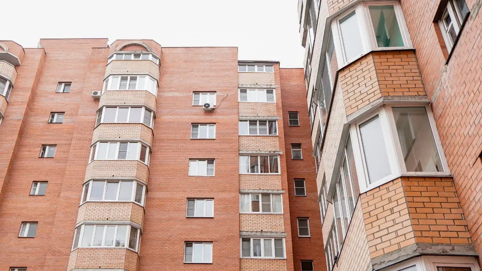 Фото: пресс-служба администрации м.о. Шатура