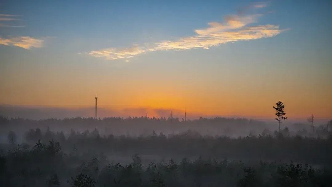 REGIONS/Роман Малышенко