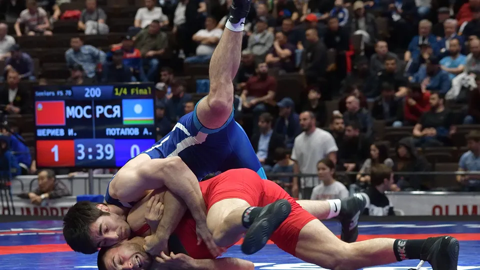 Федерация спортивной борьбы России