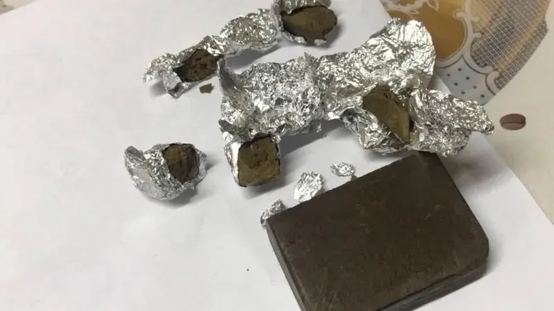 Почти кило гашиша нашли у мужчины в Подольске