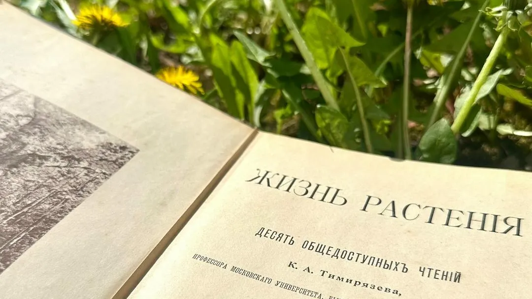 Картинка