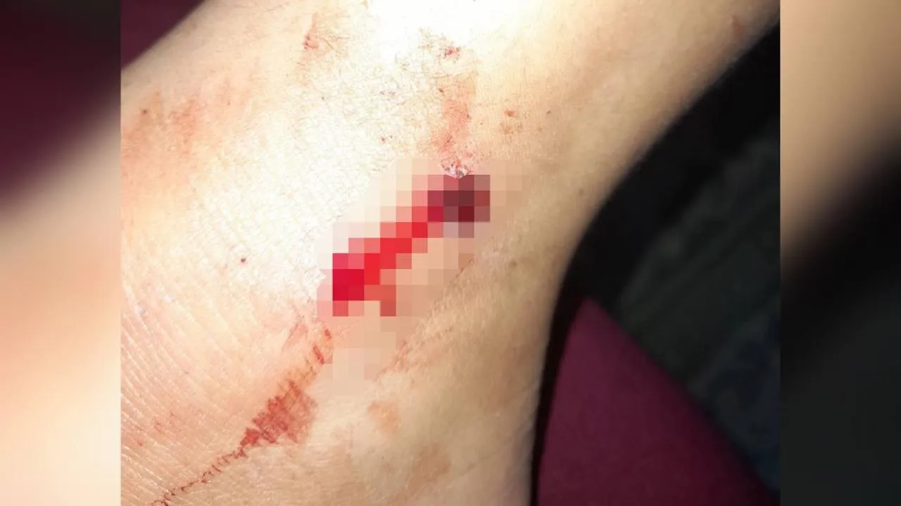 фото: соцсети