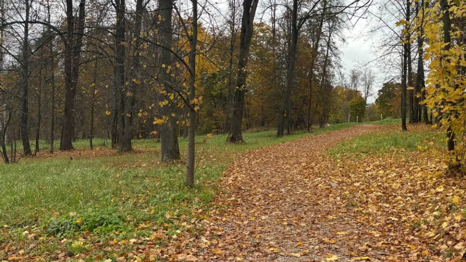 Фото: REGIONS/Алена Мельникова