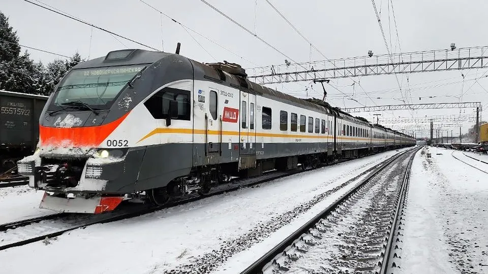 Фото: МедиаБанк Подмосковья/Дмитрий Алексеенко