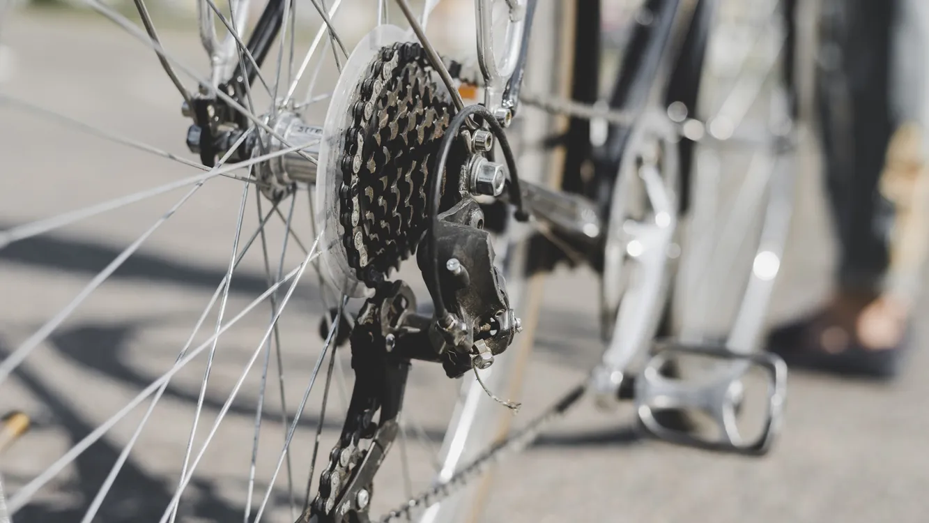 Фото: freepik.com