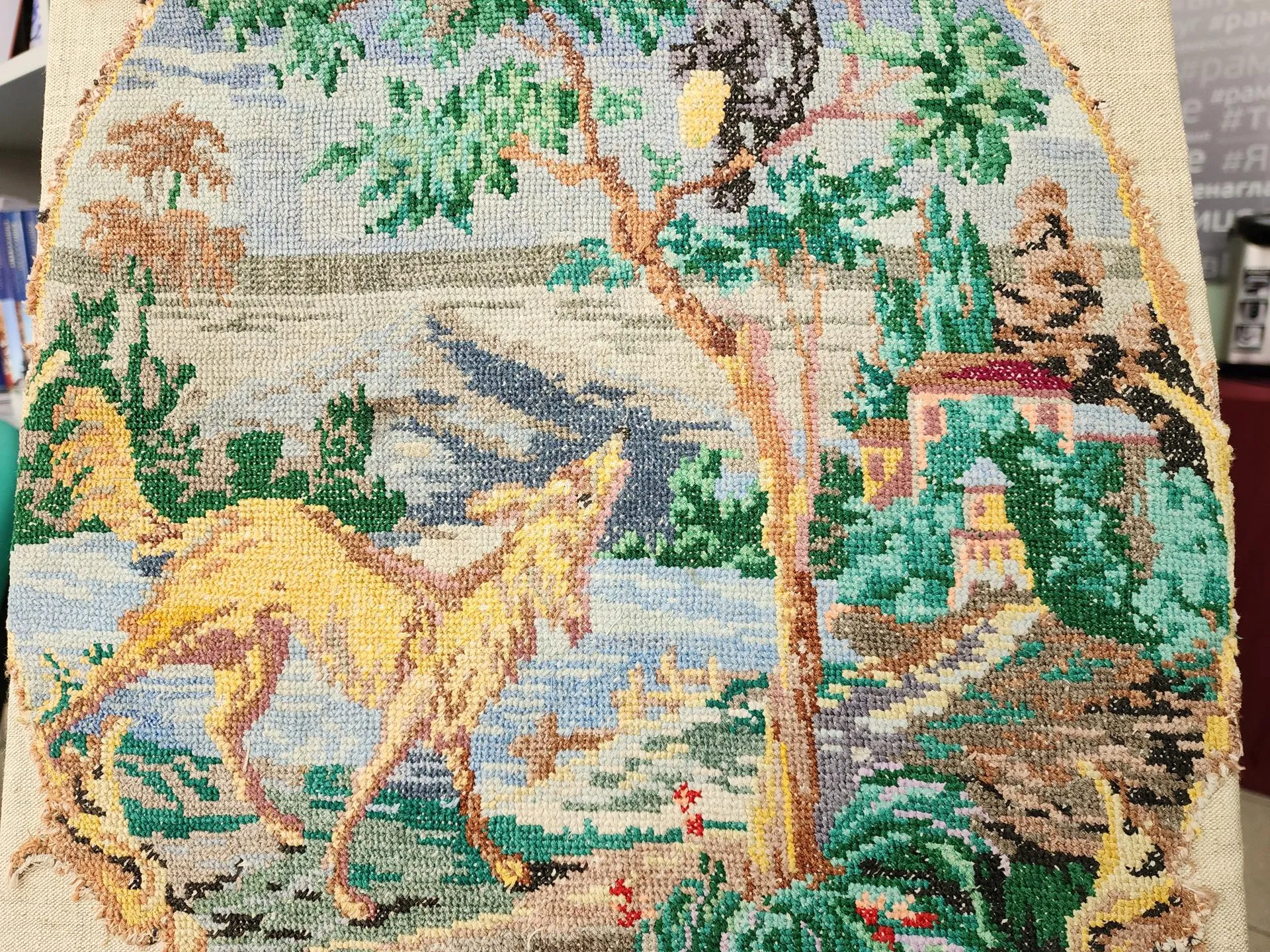 Фото: Ирина Моисеева