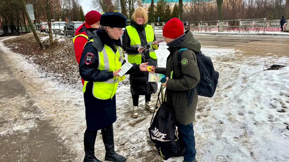 Фото: Госавтоинспекция г.о. Серебряные Пруды