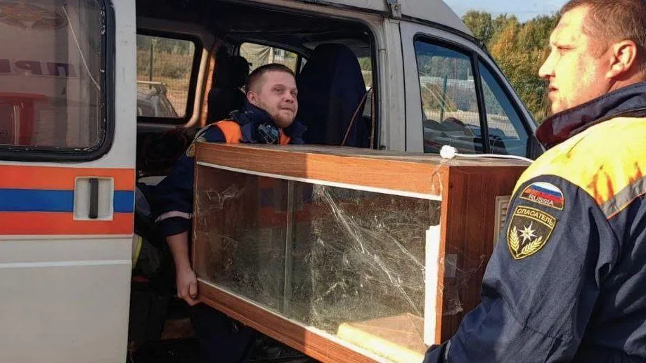 © пресс-служба ГКУ МО "Мособлпожспас"