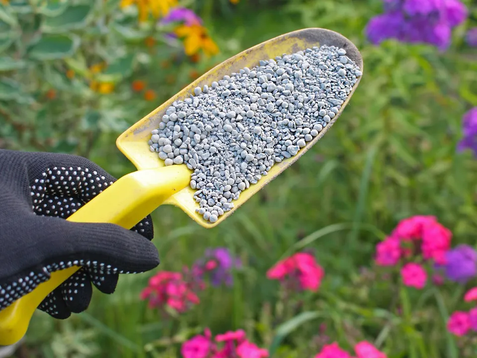 Фото: istockphoto.com