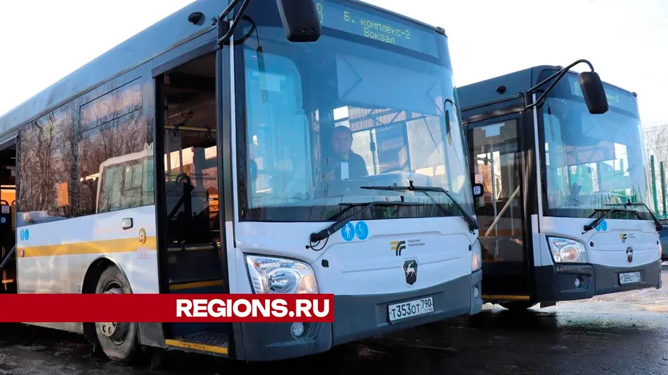 Фото: REGIONS/Василий Тремасов