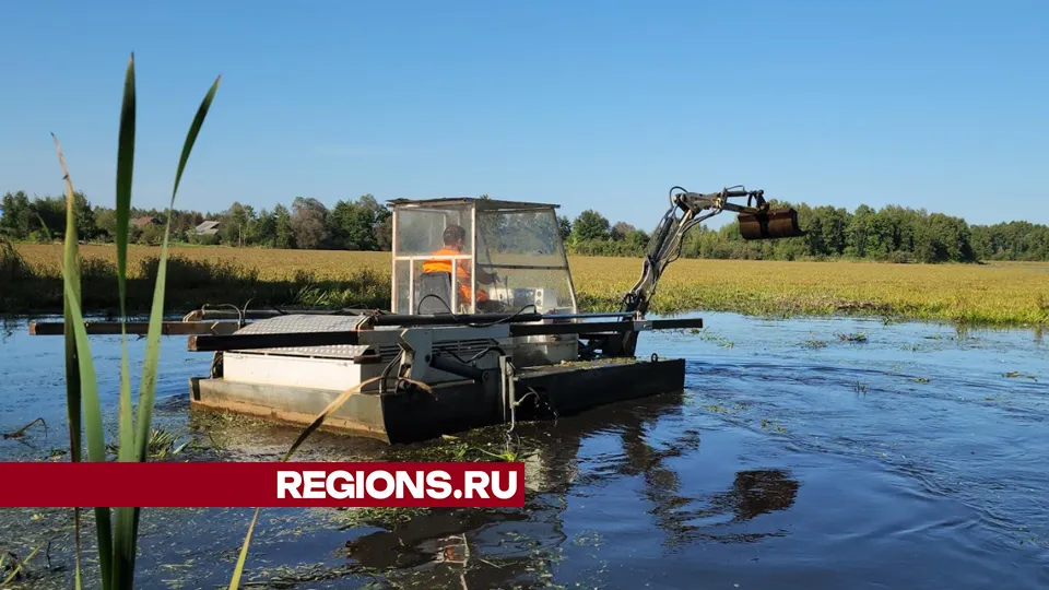 Фото: Юлия Андросова