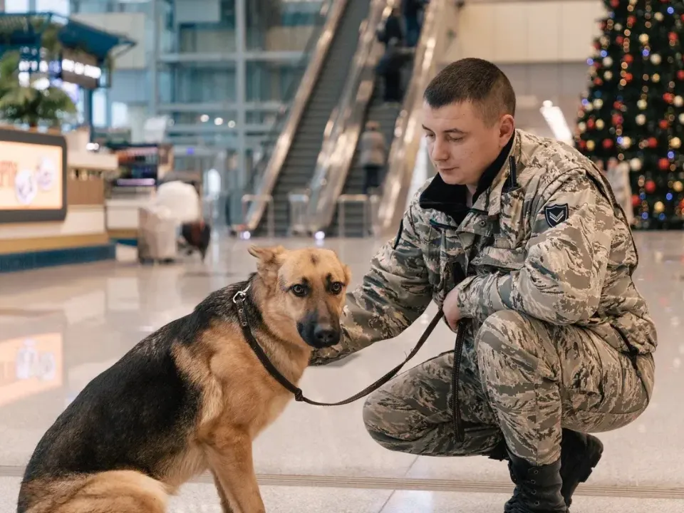 Фото: администрация г.о. Домодедово