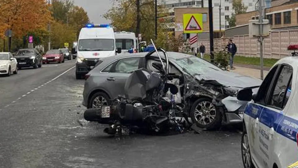 Фото: управление МВД РФ по Московской области