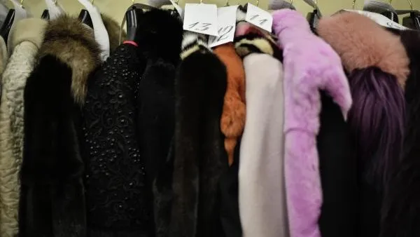 Владимир Астапкович / РИА Новости