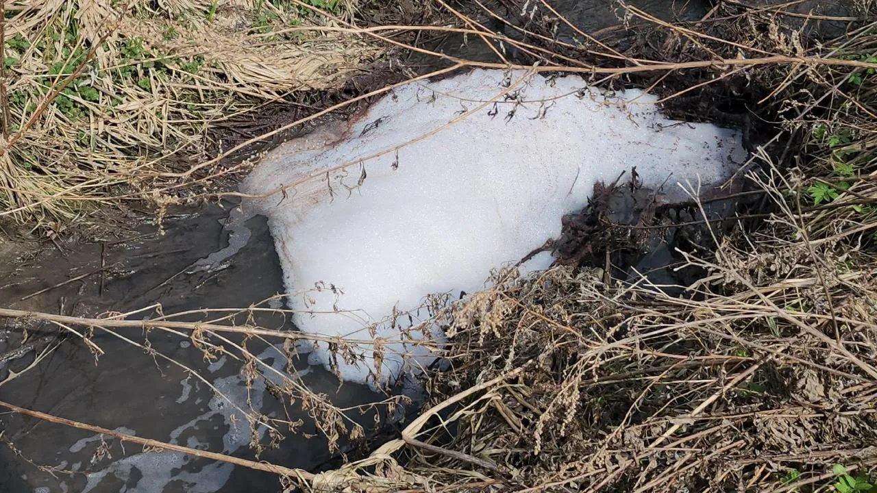 МедиаБанк Подмосковья/Валерий Гореловский