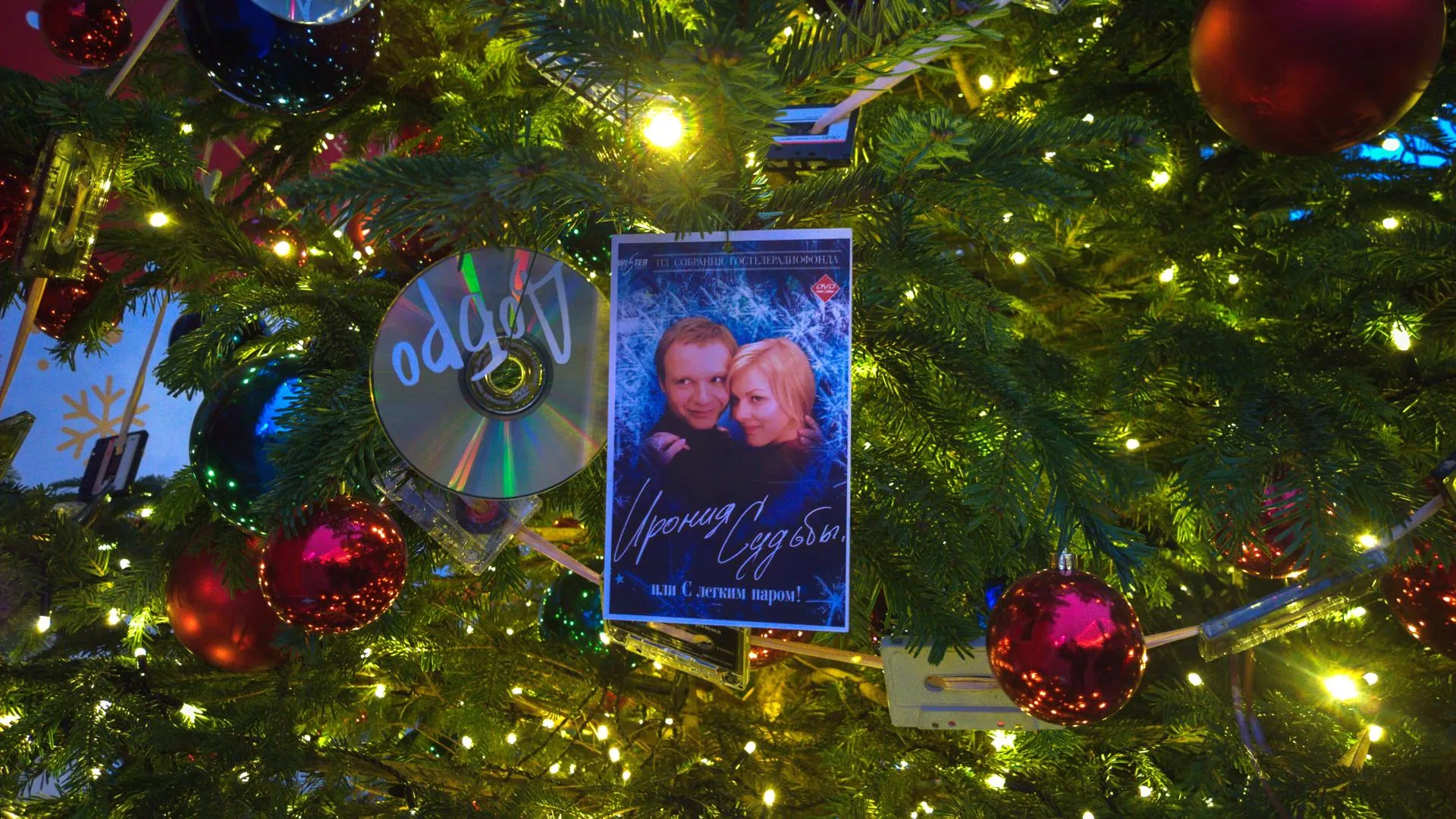 Фото: Евгений Лавряшин