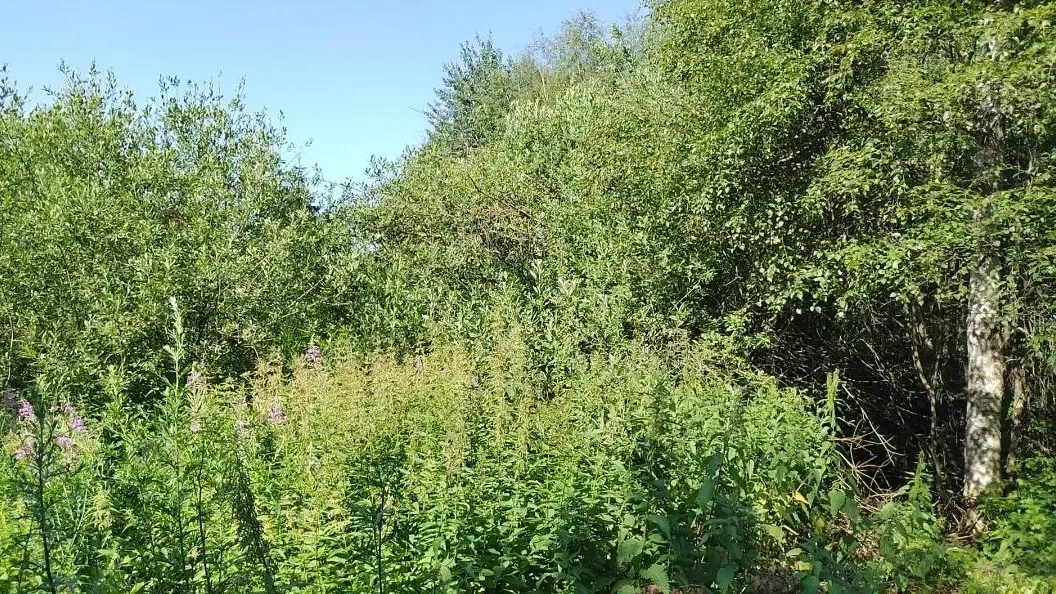 Фото Миноблимущества