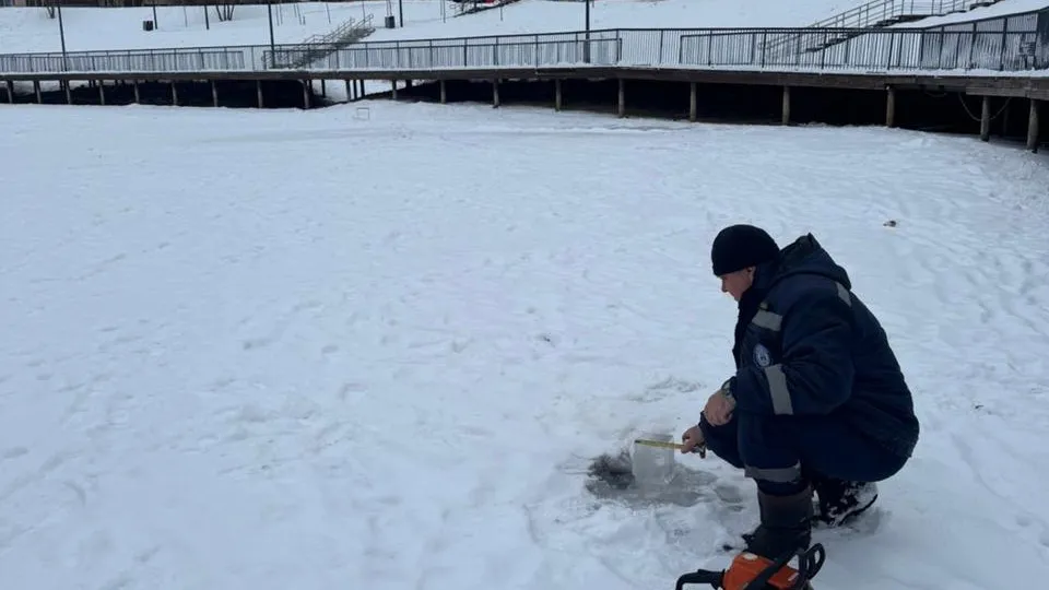 Фото: Администрация г.о. Чехов