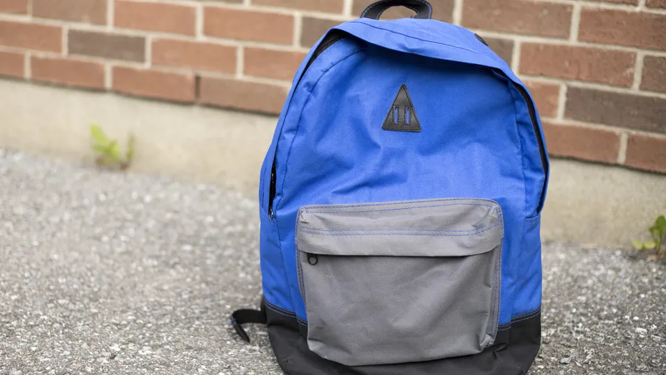 Фото: istockphoto.com/Iryna Tolmachova