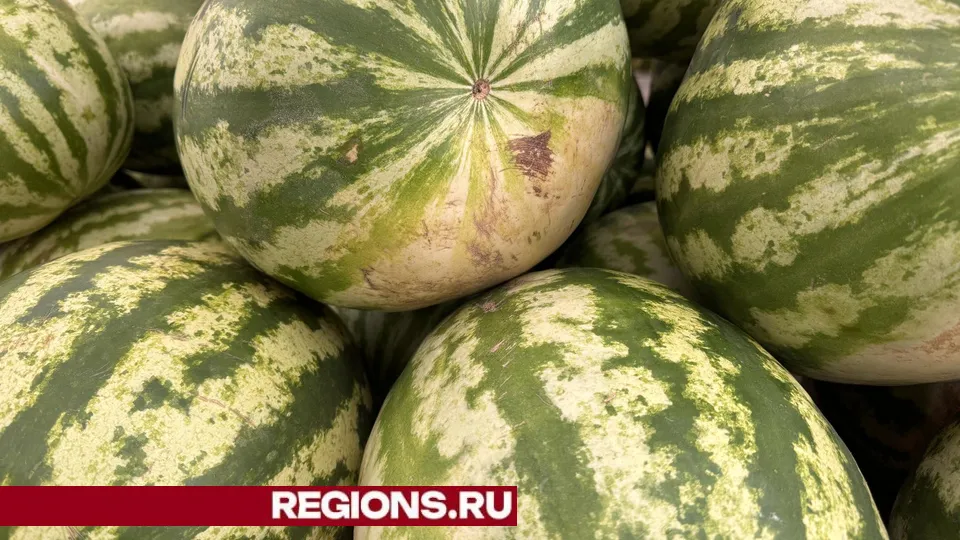 Фото: Мария Шматкова